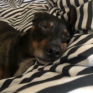 Meet your Posher, Nancy